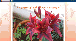 Desktop Screenshot of hayattagzelolannevarsa.blogspot.com