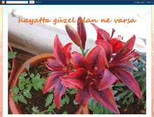 Tablet Screenshot of hayattagzelolannevarsa.blogspot.com