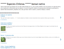Tablet Screenshot of bonsai-nativo-especies.blogspot.com