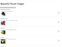 Tablet Screenshot of beautifulflowerimages.blogspot.com