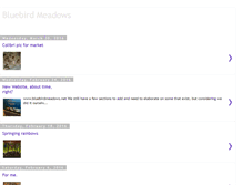 Tablet Screenshot of bluebirdmeadows.blogspot.com