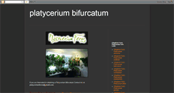 Desktop Screenshot of platyceriumbifurcatum.blogspot.com