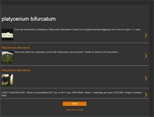 Tablet Screenshot of platyceriumbifurcatum.blogspot.com
