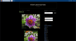 Desktop Screenshot of fenyjegyzetek.blogspot.com