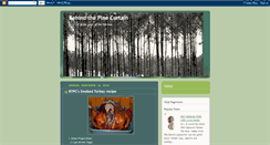 Desktop Screenshot of behindthepine.blogspot.com