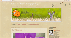 Desktop Screenshot of littlefoxphotos.blogspot.com