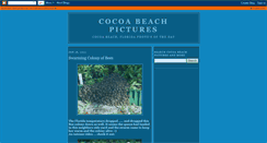 Desktop Screenshot of cocoabeachpictures.blogspot.com