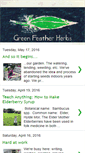 Mobile Screenshot of greenfeatherherbs.blogspot.com