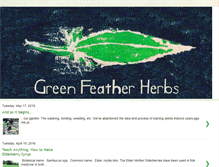 Tablet Screenshot of greenfeatherherbs.blogspot.com