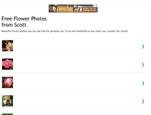 Tablet Screenshot of freeflowerfotos.blogspot.com
