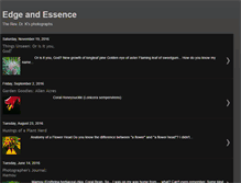 Tablet Screenshot of edgeandessence.blogspot.com