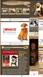 Mobile Screenshot of movimentovamosadotarumcao.blogspot.com