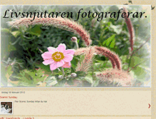 Tablet Screenshot of livsnjutarenfotograferar.blogspot.com