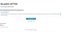 Tablet Screenshot of bilandissetter.blogspot.com
