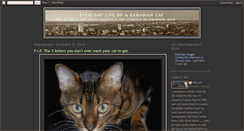 Desktop Screenshot of cdncat.blogspot.com