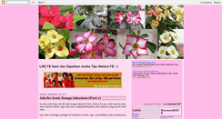 Desktop Screenshot of euphorbiaclub.blogspot.com