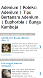 Mobile Screenshot of euphorbiaclub.blogspot.com