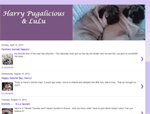 Tablet Screenshot of harrypugalicious.blogspot.com