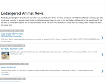 Tablet Screenshot of endangeredanimalnews.blogspot.com