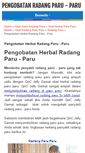 Mobile Screenshot of pengobatanradangparuparu.blogspot.com