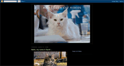 Desktop Screenshot of maine-coon-cat-videos.blogspot.com