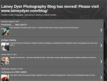 Tablet Screenshot of laineydyer.blogspot.com
