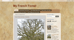 Desktop Screenshot of myfrenchforest.blogspot.com