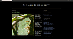 Desktop Screenshot of kerrfauna.blogspot.com