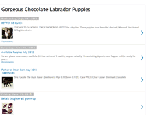 Tablet Screenshot of chocolatelabradorpuppies.blogspot.com