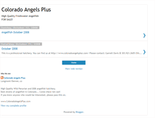 Tablet Screenshot of coloradoangelsplus.blogspot.com