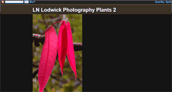 Desktop Screenshot of lnlphotographyplants2.blogspot.com