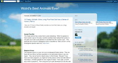 Desktop Screenshot of animalsever.blogspot.com