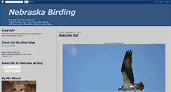 Desktop Screenshot of nebraskabirding.blogspot.com