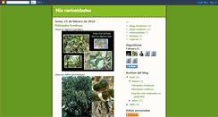 Desktop Screenshot of mi-curiosidad.blogspot.com