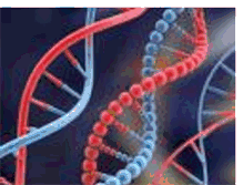 Tablet Screenshot of biotechnology-genetic-humancells.blogspot.com