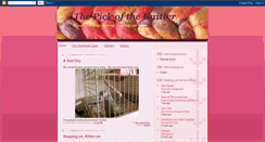 Desktop Screenshot of pickyknitter.blogspot.com