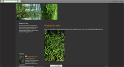 Desktop Screenshot of huperzia.blogspot.com