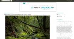 Desktop Screenshot of amomentpreserved.blogspot.com