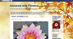 Desktop Screenshot of insnaredwithflowers.blogspot.com