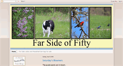 Desktop Screenshot of farsideoffifty.blogspot.com
