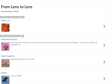 Tablet Screenshot of fromlenstolens.blogspot.com