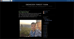 Desktop Screenshot of ebenezerforestfarm.blogspot.com