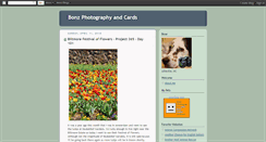 Desktop Screenshot of bonzphotography.blogspot.com