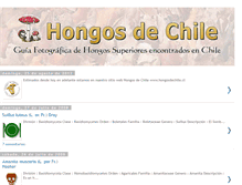 Tablet Screenshot of hongosdechile.blogspot.com