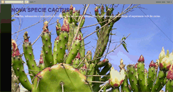 Desktop Screenshot of nova-specie-cactus.blogspot.com