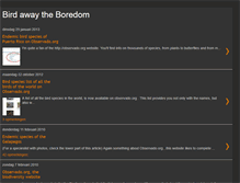 Tablet Screenshot of birdboredom.blogspot.com