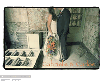 Tablet Screenshot of carlosandbri.blogspot.com