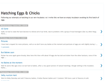 Tablet Screenshot of hatchingeggsandchicks.blogspot.com