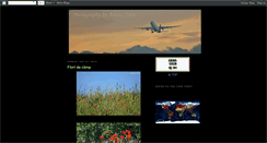 Desktop Screenshot of adina-photo.blogspot.com