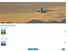 Tablet Screenshot of adina-photo.blogspot.com